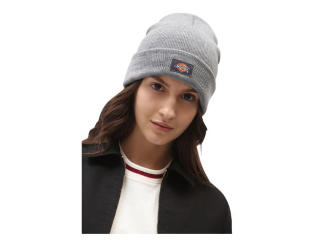 Hovedbilde DICKIES GIBSLAND  LUE