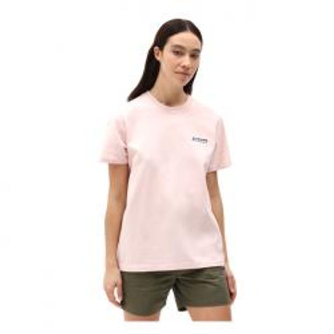 Hovedbilde DICKIES  T-SHIRT LADIES LIGHT PINK, 