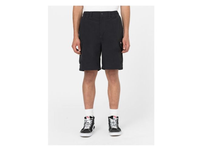 Hovedbilde DICKIES JACKSON CARGO SHORT, Shorts