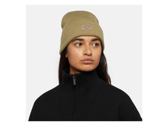 Hovedbilde Dickies lue